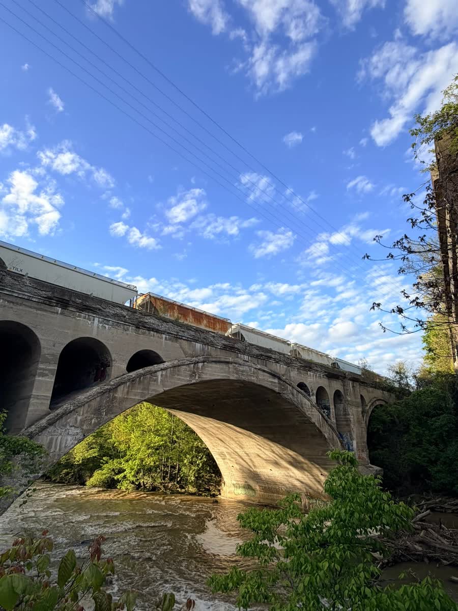 Metroparks bridge