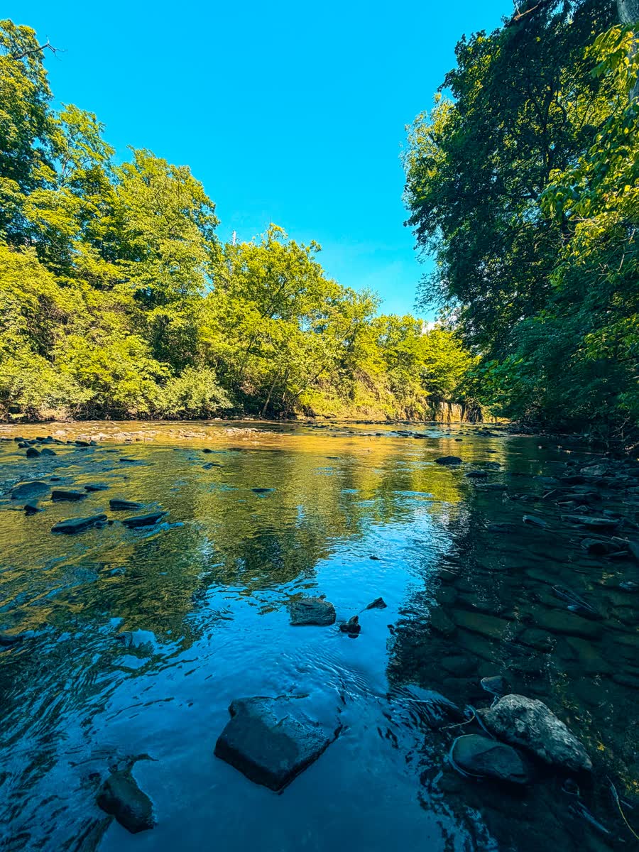 Metroparks river